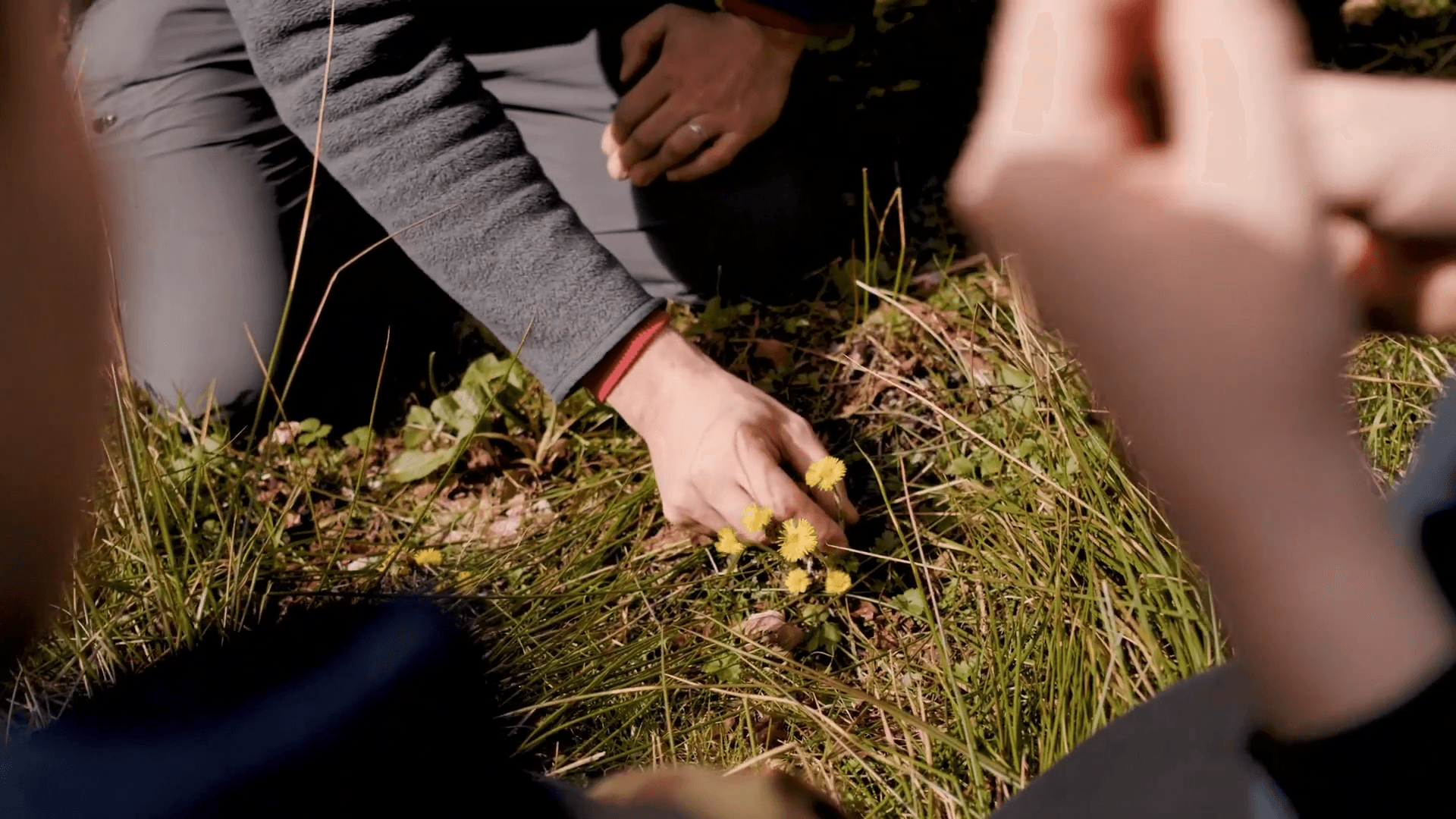 Draußen oder indoor