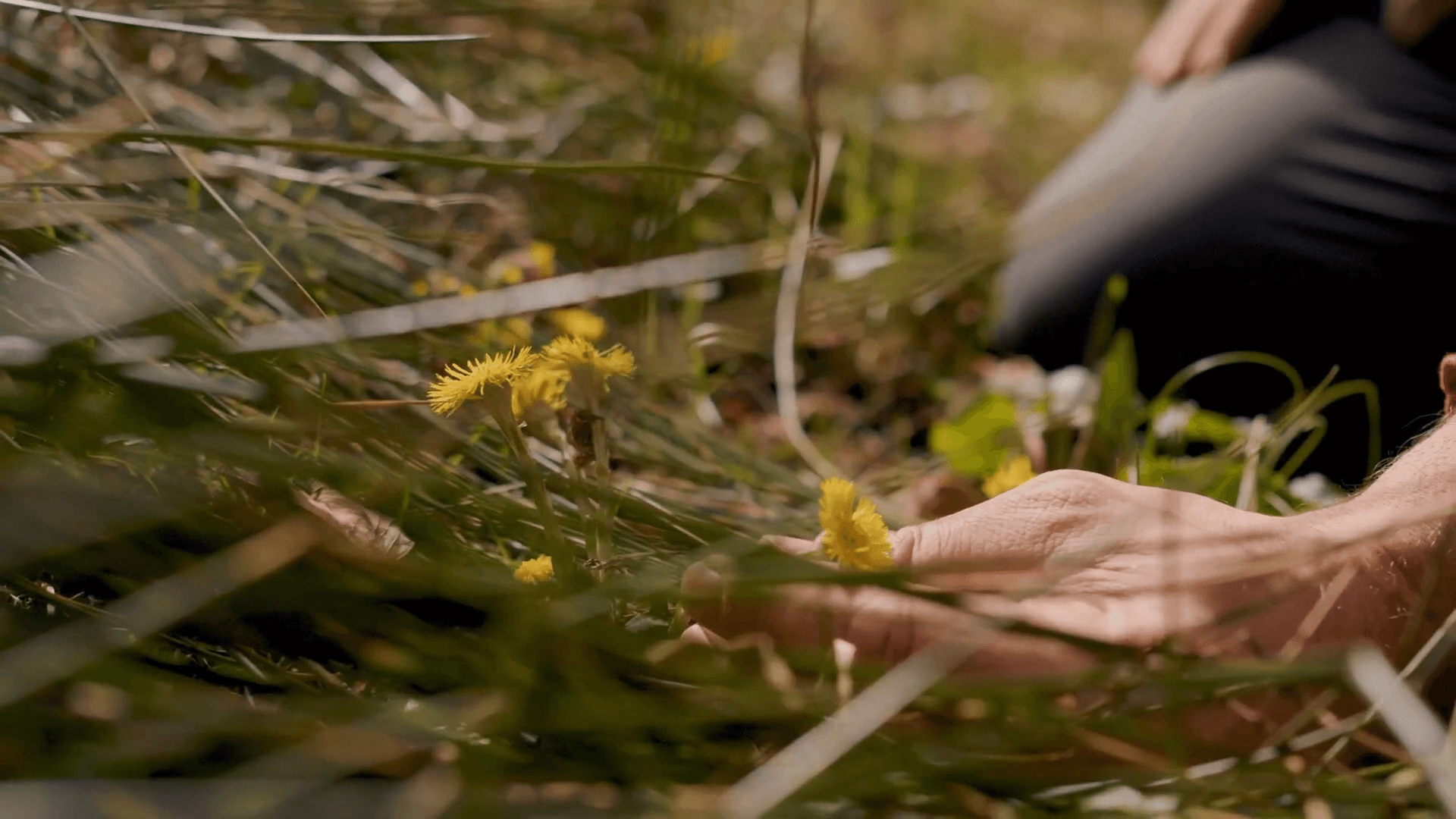 Reise und Visionssuche